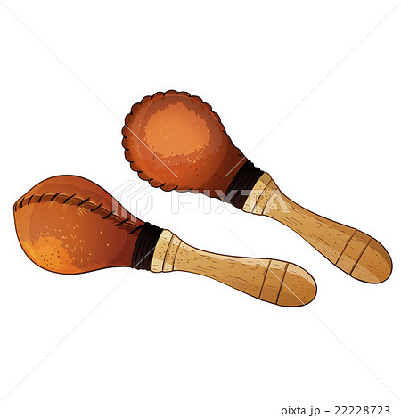 Maracas Vector Illustration 22228723