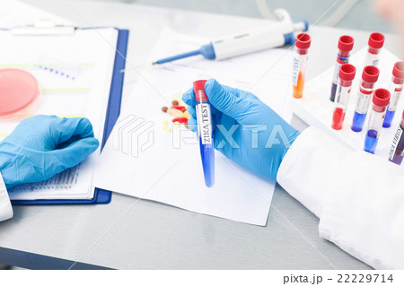 Skillful male researcher is working in laboratory Skillful male researcher is working in laboratory 22229714