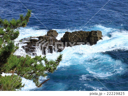 大船渡　碁石海岸 22229825