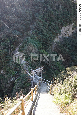 白山神社(土佐清水市) 22229959