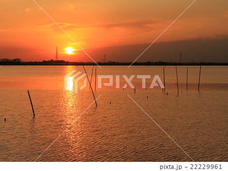 牛久沼 夕日 牛久沼 夕日 22229961