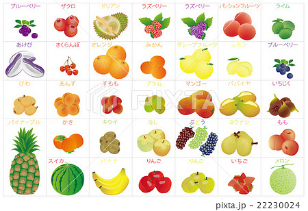果物いろいろのイラスト素材 [22230024] - PIXTA