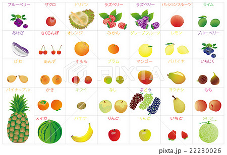 見てわかるイラスト果物づくり Amazon.co.jp: 見てわかる イラスト 果物づくり : 川俣 惠利