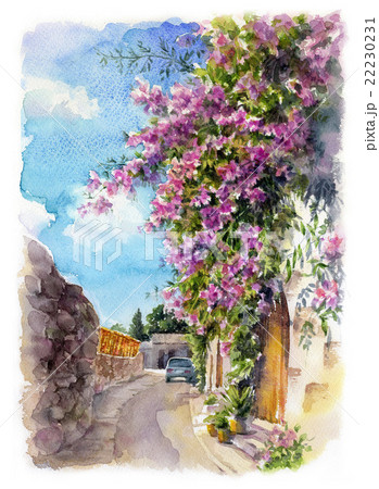 クレマティスと車 22230231