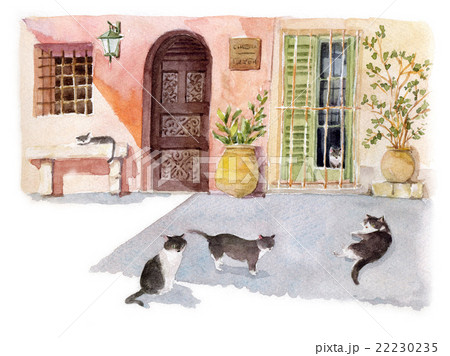 カーニュ・シュルメールのネコ カーニュ・シュルメールのネコ 22230235