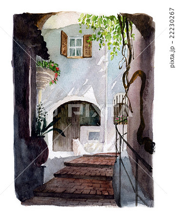 カーニュ・シュル・メールの白猫 22230267