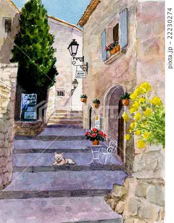 レ・ボー・ド・プロヴァンスの通りで 22230274