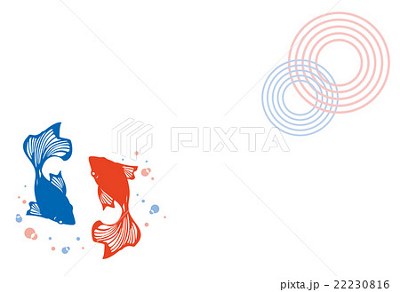 暑中見舞い 残暑見舞い イラスト 金魚のイラスト素材 22230816 Pixta