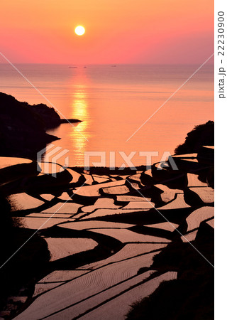 浜野浦の棚田 浜野浦の棚田 22230900