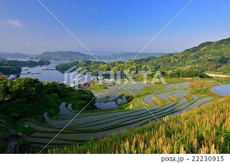 佐賀県の棚田 22230915