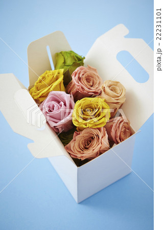 バラのドライフラワー 22231101