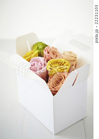 バラのドライフラワー バラのドライフラワー 22231103