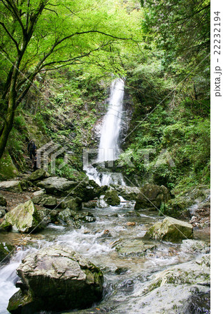 払沢の滝 22232194