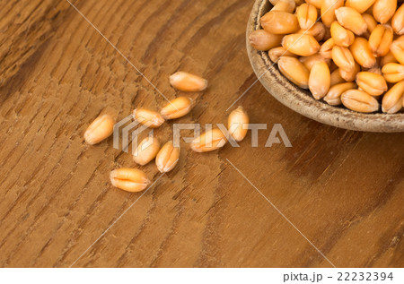 organic barley grain 22232394