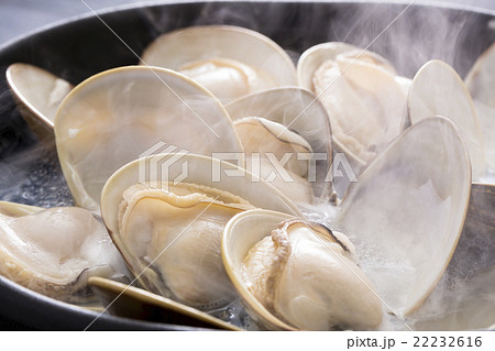 蛤料理 蛤料理 22232616