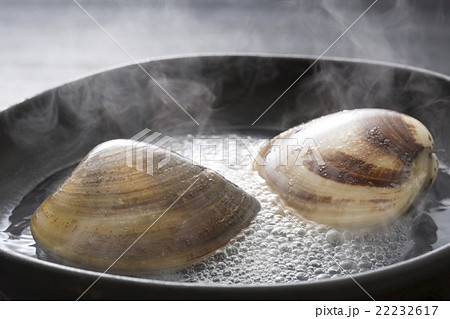 蛤料理 蛤料理 22232617