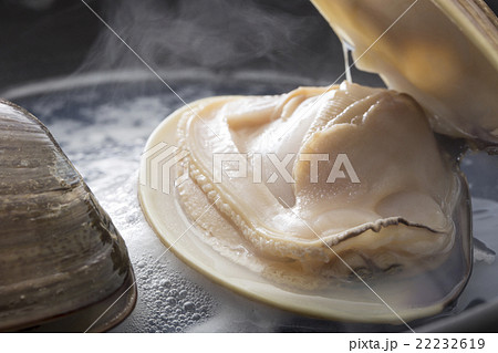 蛤料理 蛤料理 22232619