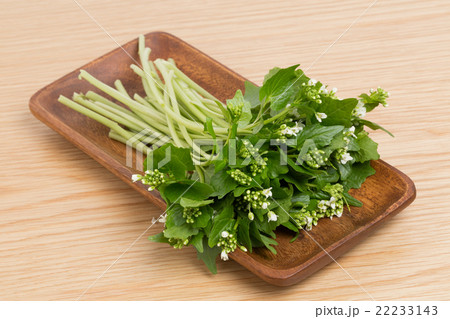 花わさび 22233143