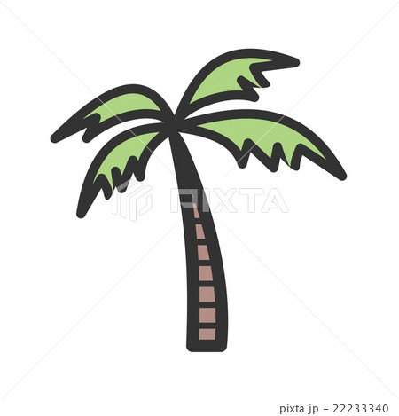 Coconut Tree 22233340
