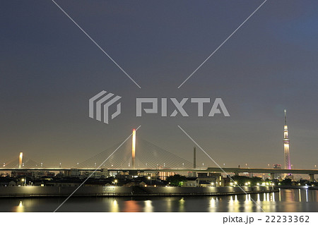 かつしかハープ橋と東京スカイツリー 22233362