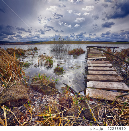 Old wooden pier with dry reed 22233950