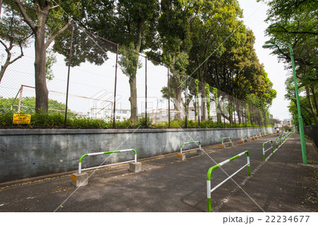 東京散歩、世田谷区、深沢四丁目、学芸大学附属小中学校 東京散歩、世田谷区、深沢四丁目、学芸大学附属小中学校 22234677