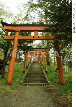 菅生稲荷神社 岐阜県飛騨市古川町 の鳥居の写真素材