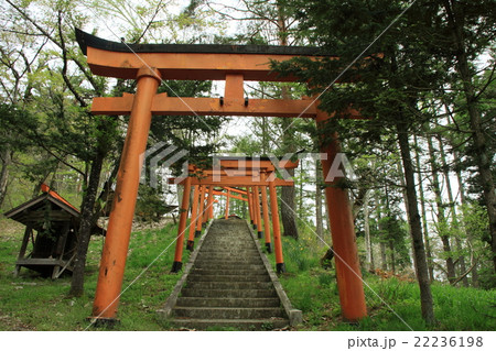 菅生稲荷神社 岐阜県飛騨市古川町 の鳥居の写真素材