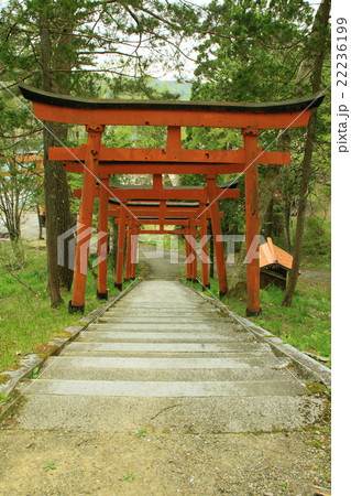 菅生稲荷神社 岐阜県飛騨市古川町 の鳥居の写真素材