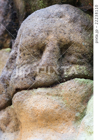 Detail of thestone head Detail of thestone head 22238110