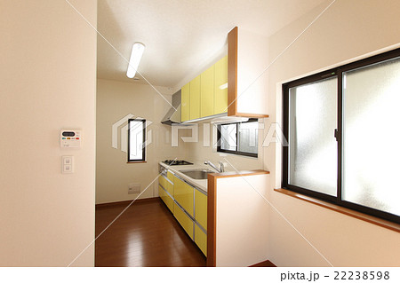 住宅 キッチン I字型キッチン 浄水器付きシングルレバー水栓 採光窓あり 施工例 住宅 キッチン I字型キッチン 浄水器付きシングルレバー水栓 採光窓あり 施工例 22238598