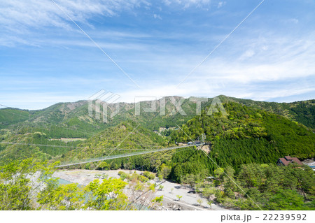 谷瀬の吊橋（奈良県十津川村の風景） 22239592