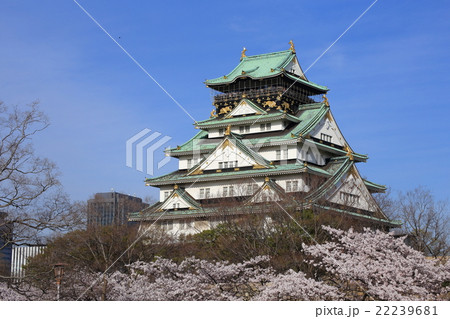 大阪城と満開の桜 大阪城と満開の桜 22239681
