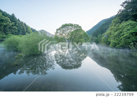 新緑の室生湖の朝霧(奈良県宇陀市の風景) 新緑の室生湖の朝霧(奈良県宇陀市の風景) 22239709