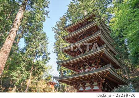 石楠花の名所 新緑の室生寺 奈良県宇陀市 の写真素材