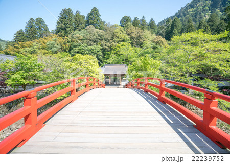 石楠花の名所・新緑の室生寺(奈良県宇陀市) 石楠花の名所・新緑の室生寺(奈良県宇陀市) 22239752