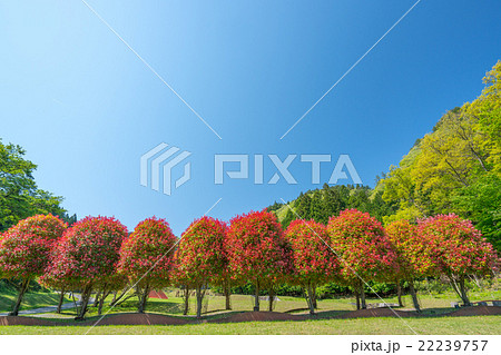 室生山上公園(奈良県宇陀市の風景) 室生山上公園(奈良県宇陀市の風景) 22239757