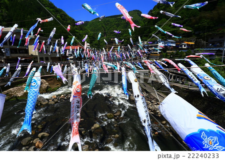 杖立温泉 鯉のぼり祭り 杖立温泉 鯉のぼり祭り 22240233