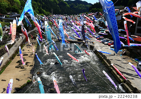 杖立温泉　鯉のぼり祭り 22240238