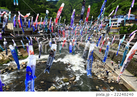 杖立温泉 鯉のぼり祭り 杖立温泉 鯉のぼり祭り 22240240