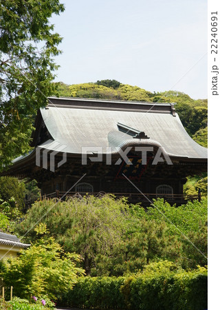 東慶寺　山門 22240691