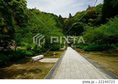 建長寺　半増坊への参道 22240725