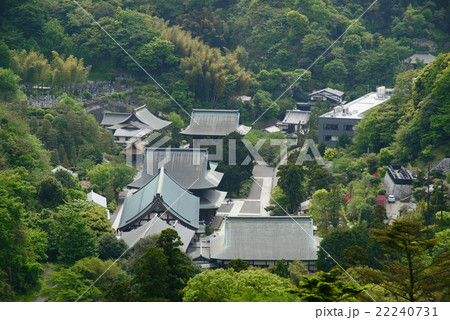 建長寺　半増坊からの眺望 22240731