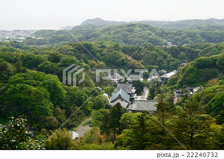建長寺　半増坊からの景色 22240732