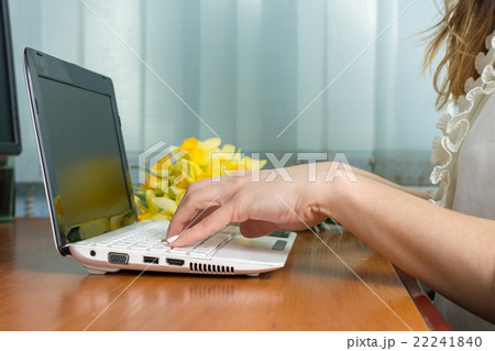 female hands typing at a lap top 22241840