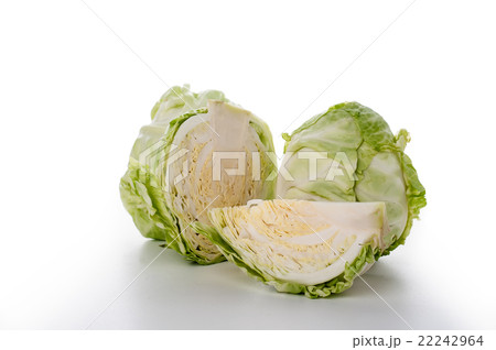 cabbage on white background cabbage on white background 22242964