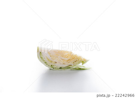 cabbage on white background cabbage on white background 22242966