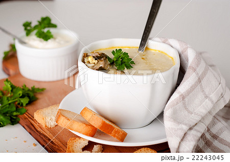 creamy soup with croutons creamy soup with croutons 22243045