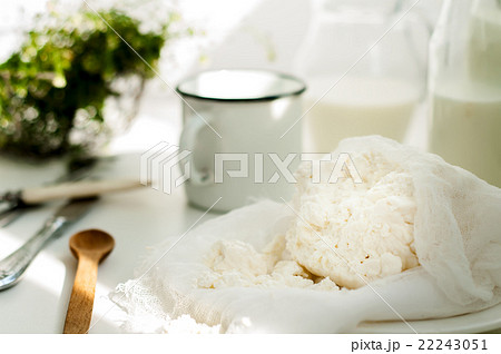 Plate of homemade cottage cheese 22243051