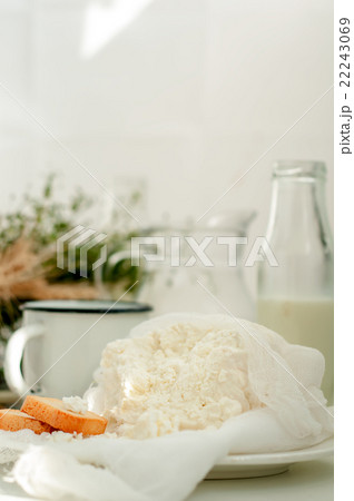 Plate of homemade cottage cheese Plate of homemade cottage cheese 22243069